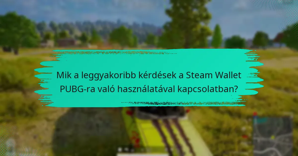 Mik a Steam Wallet használatára vonatkozó politikák a PUBG-ban?