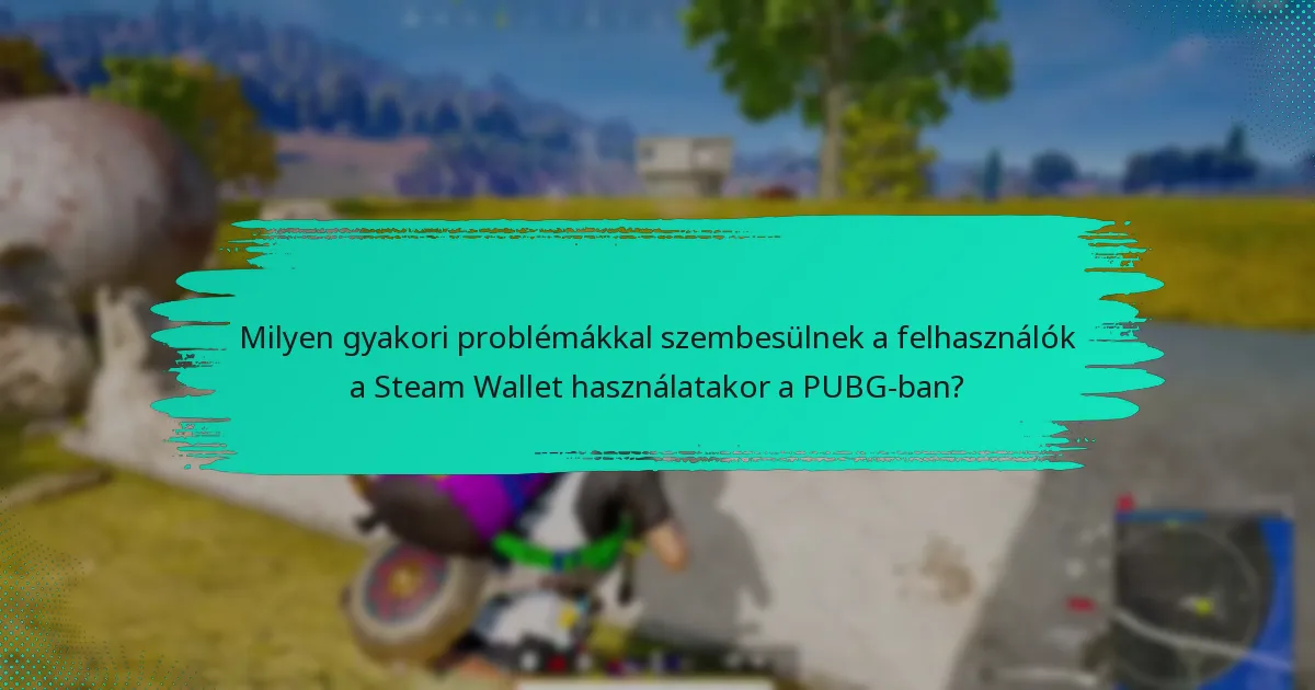 Milyen gyakori problémákkal szembesülnek a felhasználók a Steam Wallet használatakor a PUBG-ban?